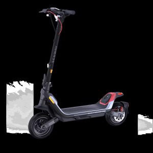 Segway KickScooter P100